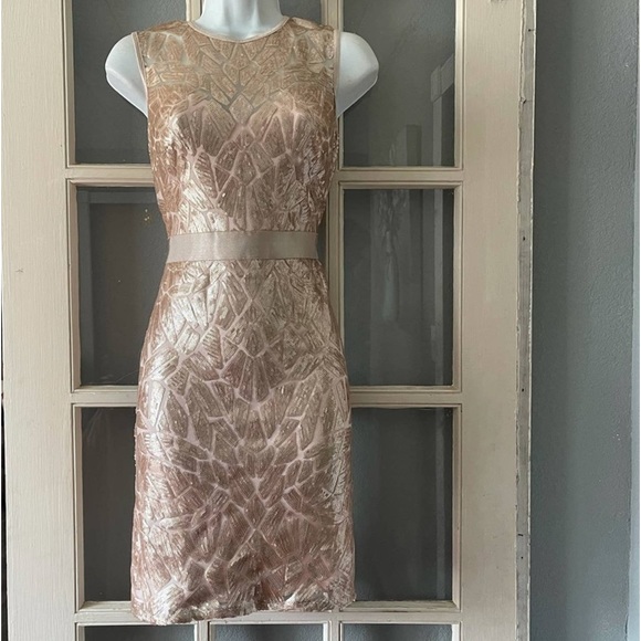 TADASHI SHOJI Illusion Geometric Sequin Sleeveless Dress Beige Size PXL NEW w/T - Picture 3 of 7